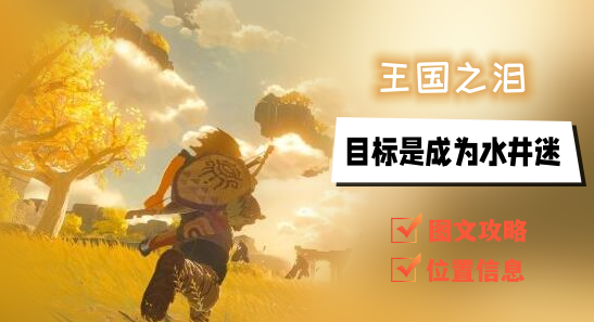 王国之泪水井位置-目标是成为水井迷攻略