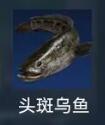 星球重启头斑乌鱼在哪里钓 星球重启头斑乌鱼分布位置信息