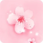 夜爱直播软件