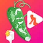桃花tv直播播放器免费下载