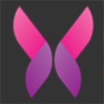 菠萝影视下载大全