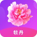 月夜直播在线下载