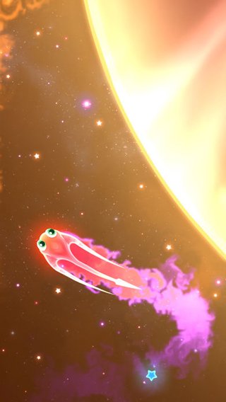 超级星鱼0