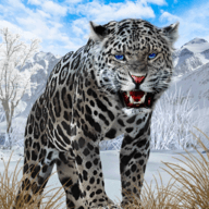 野生雪豹模拟器Snow Leopard安卓版手游下载