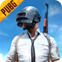pubg国际版官方版手游_logo